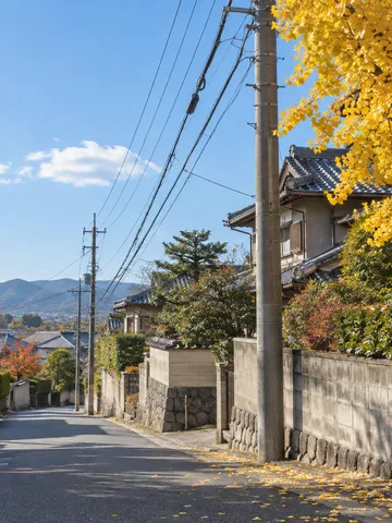 秋の青空に伸びる電柱と電線と銀杏