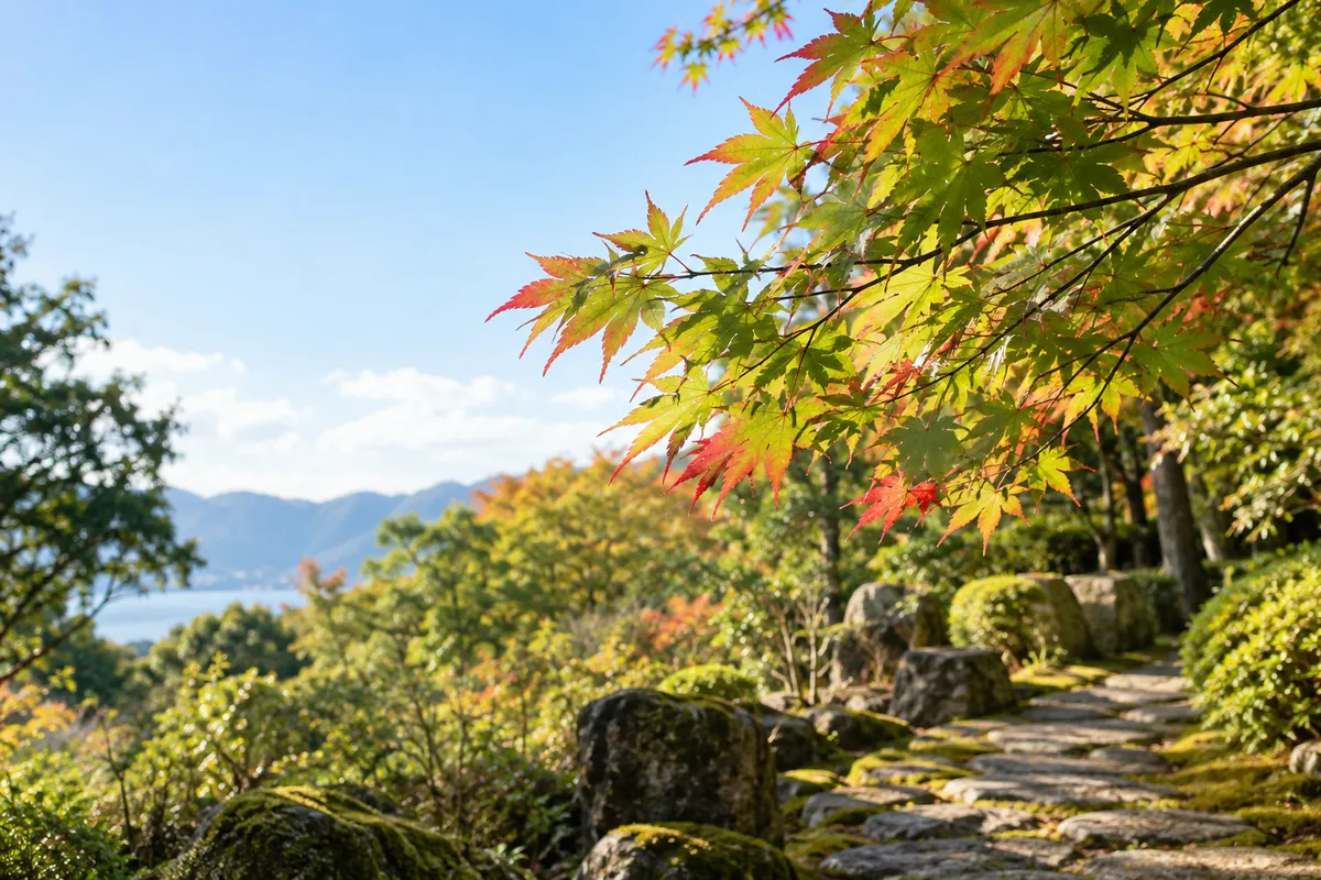 葉先が色づき始めた初秋のモミジの枝