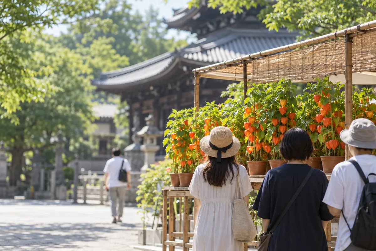境内の露店に並ぶ橙色のほおずきの鉢植え