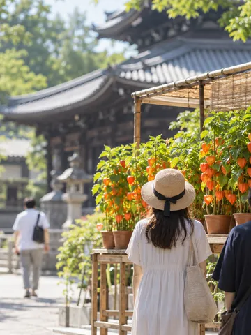 境内の露店に並ぶ橙色のほおずきの鉢植え