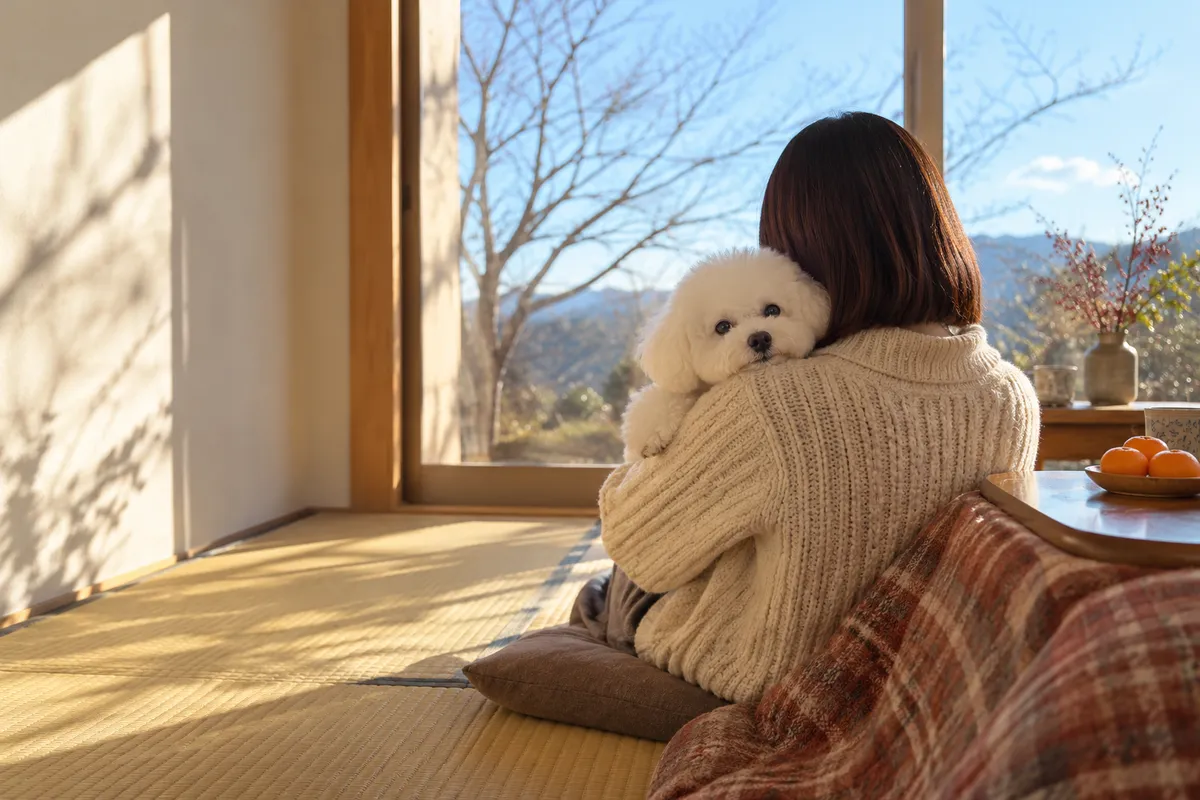 日だまりの部屋でビション・フリーゼを抱く後ろ姿