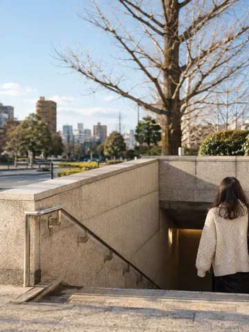 晴れた冬の日、地下へ下りる階段と葉の落ちた木