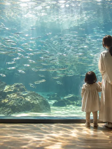 大きな水槽の魚の群れを眺める親子の後ろ姿