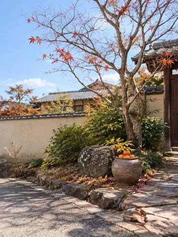 晴れた日の門から玄関へ続く石畳と庭