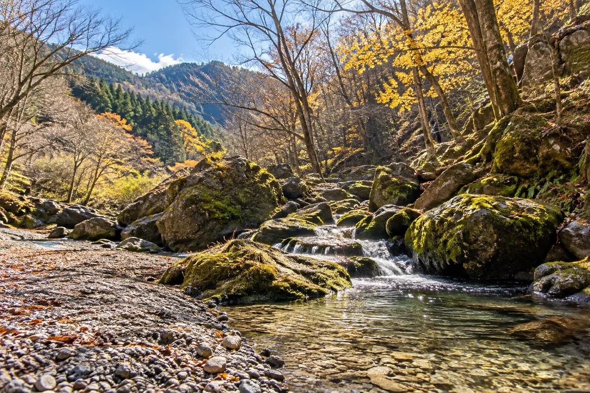 日差しの差す山あいの源流の小さな流れ