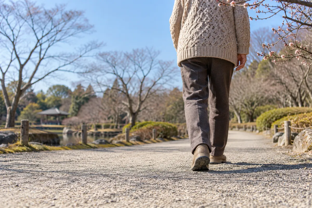 冬の晴れた公園を歩く人の後ろ姿と梅のつぼみ