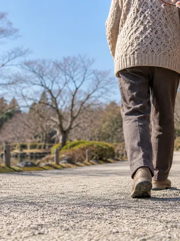 冬の晴れた公園を歩く人の後ろ姿と梅のつぼみ