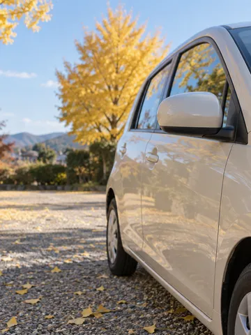 日なたで愛車のミラーを拭く手元と紅葉した銀杏
