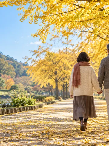 銀杏並木を手をつないで歩く夫婦の後ろ姿