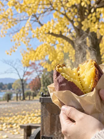 日なたで湯気の立つ割った焼き芋を持つ手元
