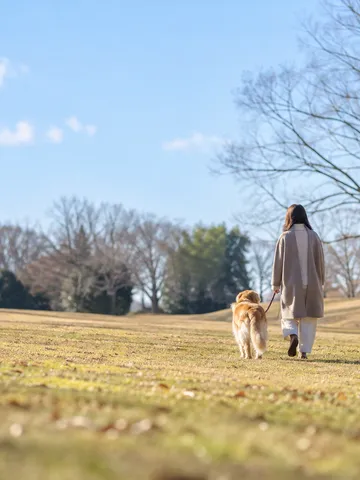 冬の日なたの公園を散歩する人と犬の後ろ姿