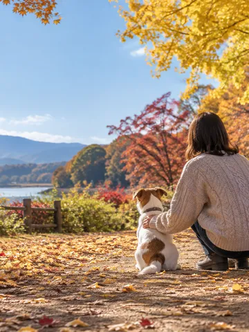 紅葉の公園で愛犬に寄り添う後ろ姿