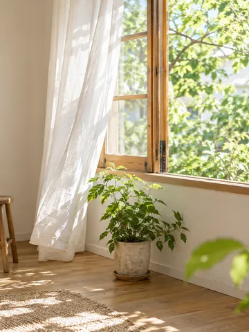 日差しの入る明るい部屋と「健康住宅」の木札