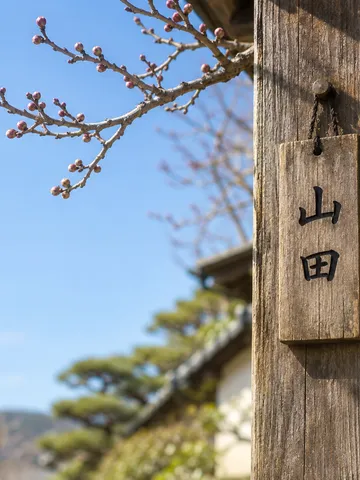 「山田」と書かれた木の表札と梅のつぼみ