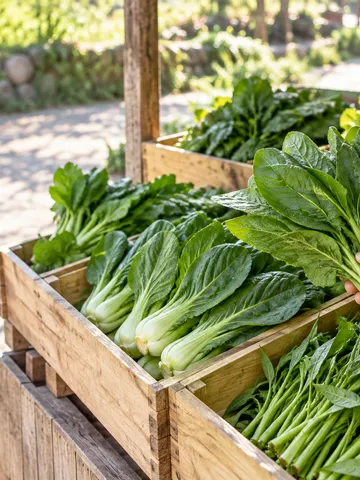 八百屋の店先に並ぶ夏の葉物野菜