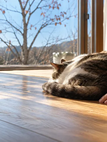 日だまりで丸くなる猫と、そっと添えられた手