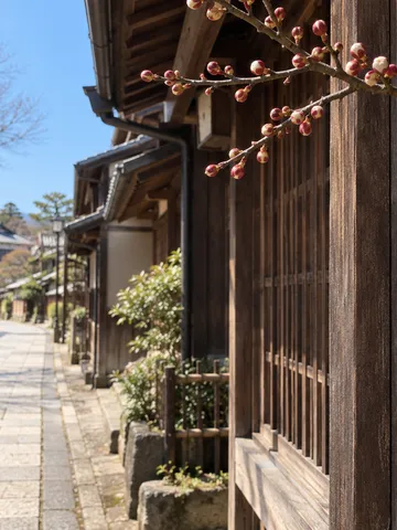 日なたの古い町並みと「日本遺産」と書かれた木の札