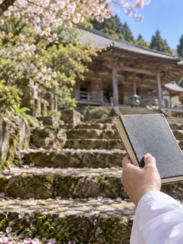 桜の散る参道で納経帳を持つ巡礼者の手元