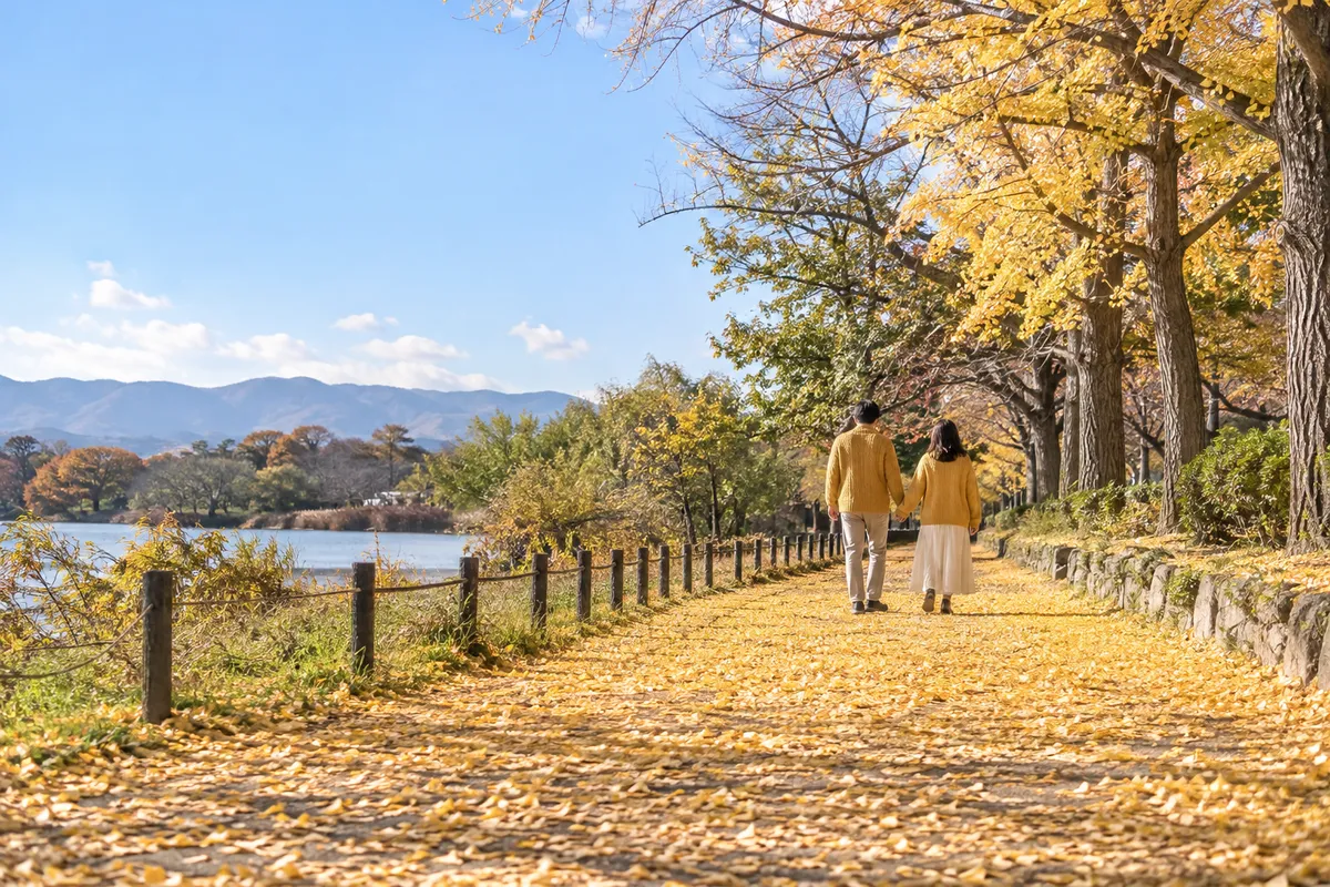 銀杏の落ち葉の道を歩く、おそろいのニットの二人の後ろ姿