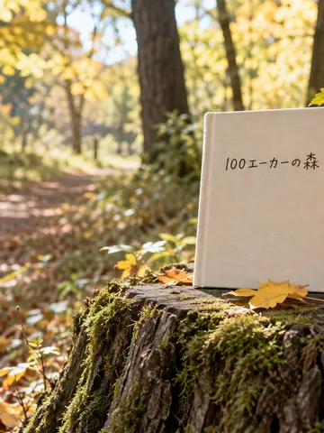 秋の森の切り株に立てた絵本とはちみつの瓶