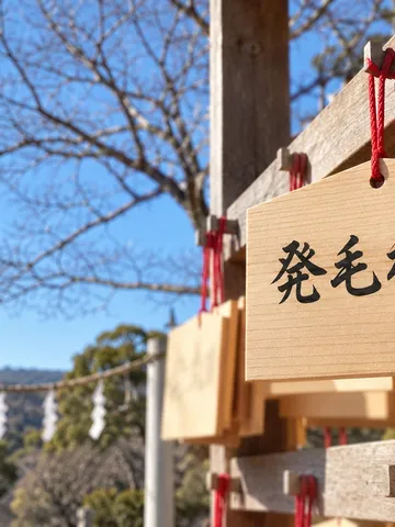 「発毛祈願」と書かれた絵馬が掛かる元日の神社