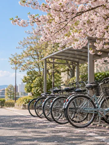 桜の下に並ぶシェアサイクルの自転車