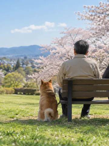 公園のベンチに座る男性たちと柴犬の後ろ姿