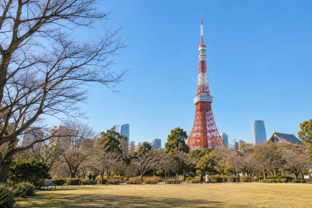 冬の青空と葉の落ちた木越しの東京タワー
