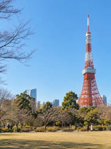 冬の青空と葉の落ちた木越しの東京タワー