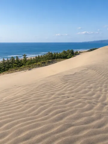 青空の下に広がる鳥取砂丘の風景
