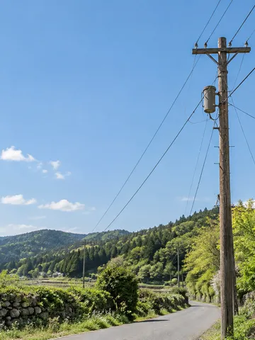 青空に電線が伸びる新緑の道の電柱