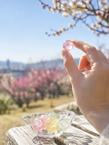 梅の咲く日なたで飴をつまむ手元