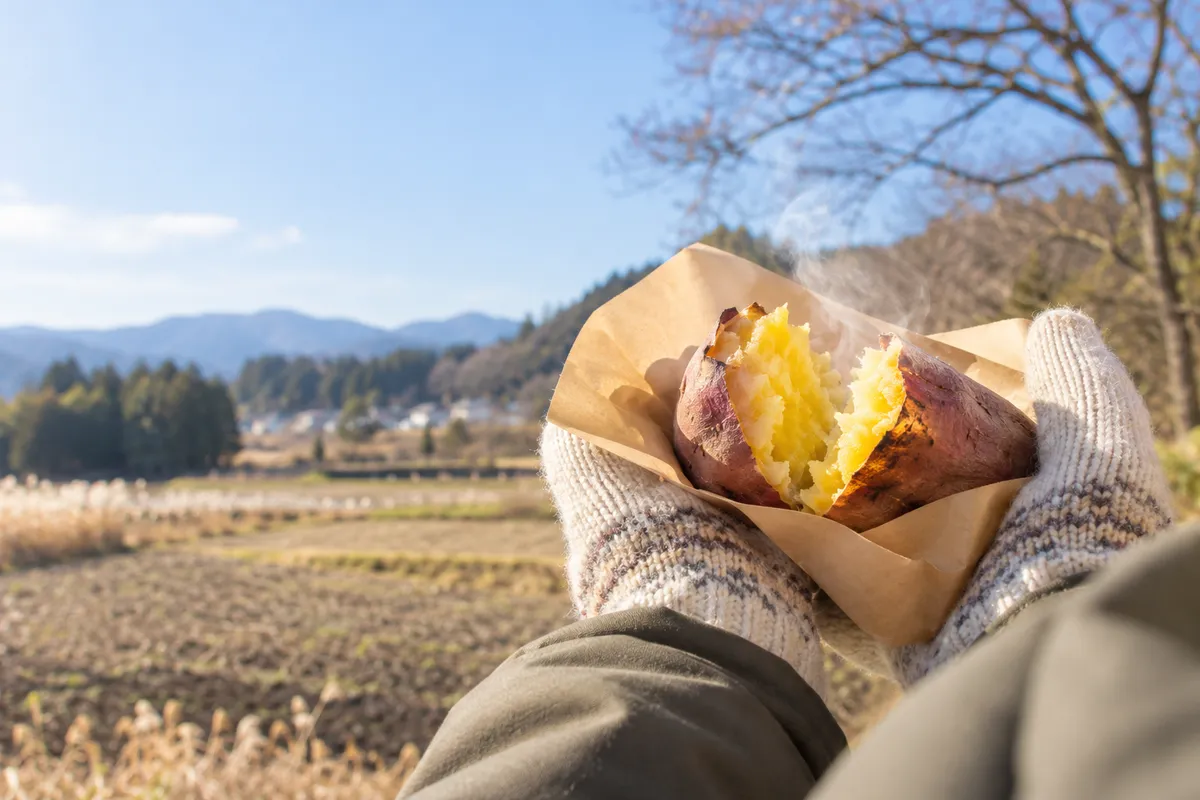 日なたで割った湯気の立つ焼き芋を持つ手元